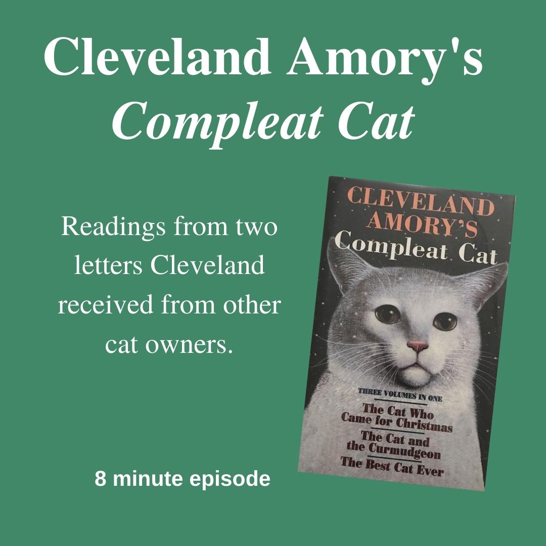 Featured pic for The Letters on The Literary Catcast Podcast