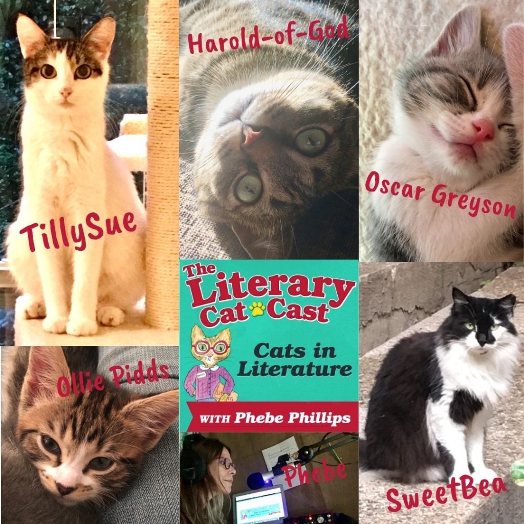 collage photo of five cats that meow on The Literary Catcast Podcast