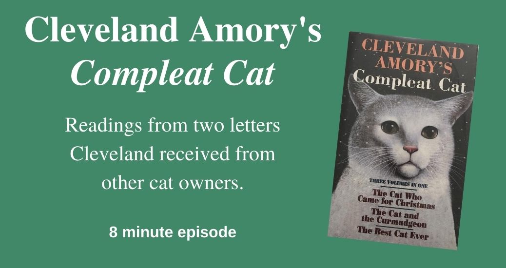 Website banner for the episode of The Letters on The Literary Catcast Podcast.