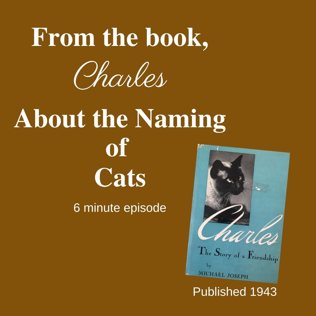 Featured photo for the episode Charles on The Literary Catcast Podcast