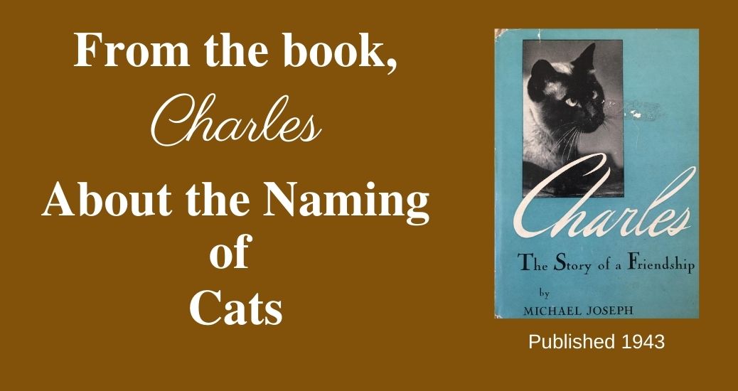 Website banner for the episode Charles on The Literary Catcast Podcast