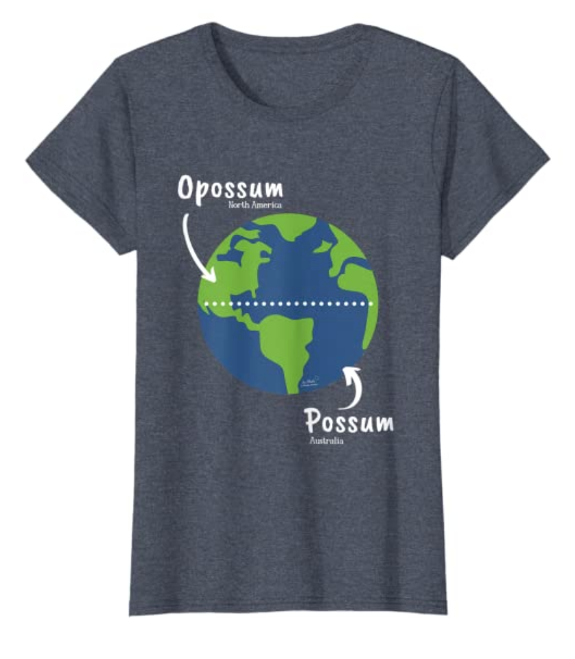 Opossum Possum Perfect Grammar T-Shirt on Amazon by Phebe Phillips