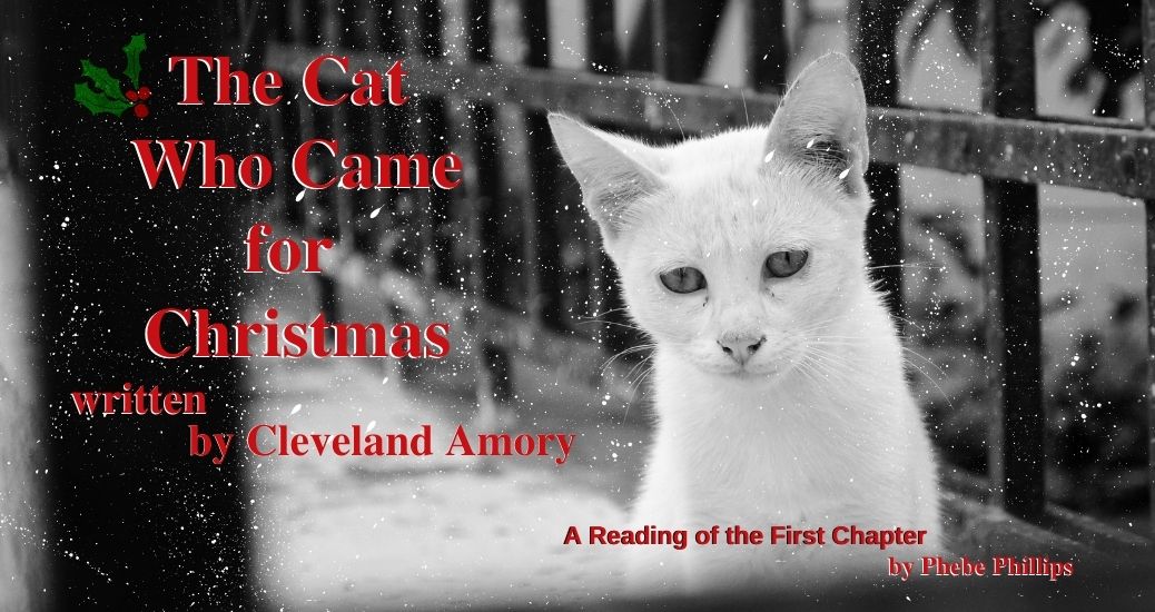 A white cat in the website banner for The Cat Who Came for Christmas
