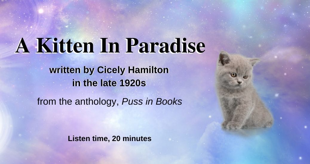 Header for the podcast episode, A Kitten in Paradise