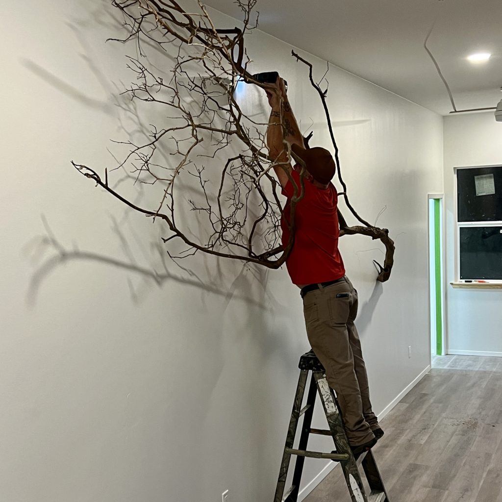 A 17' Crape Myrtle Tree being hung on a wall.